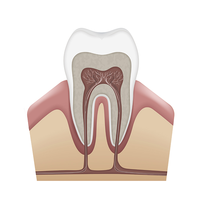 Periodoncia